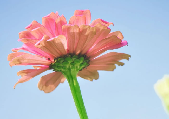 工程案例标题2【后台可添加、修改、删除】