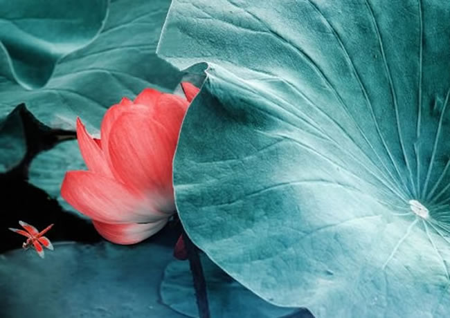 工程案例标题1【后台可添加、修改、删除】