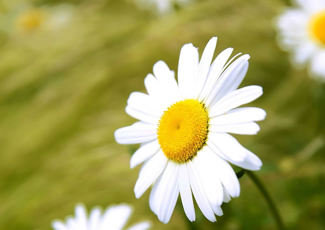 工程案例标题8【后台可添加、修改、删除】