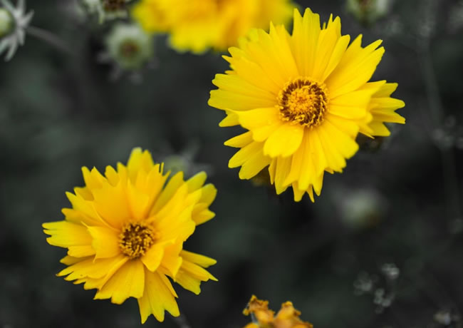 工程案例标题3【后台可添加、修改、删除】